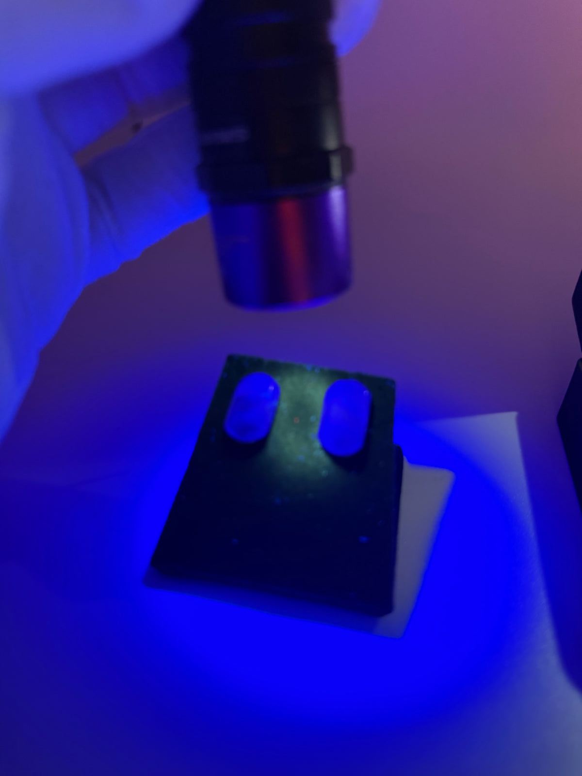 16tcw Namibian fluorite stud earrings glowing vivid blue under UV light, demonstrating natural fluorescence